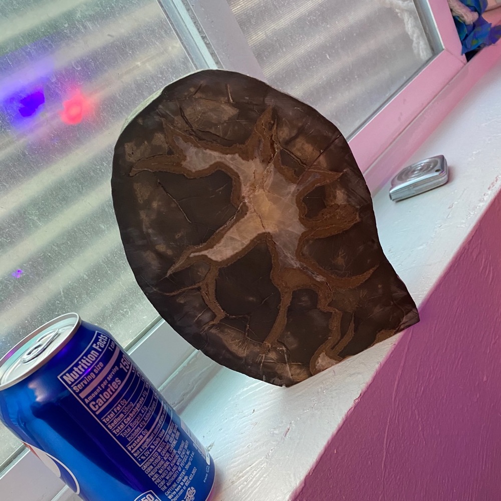 Septarian nodule